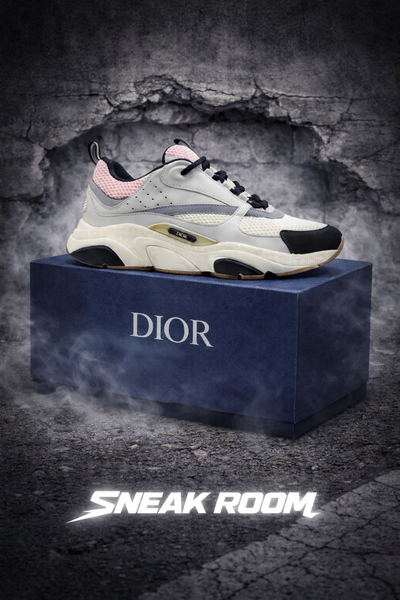 B22 DIOR